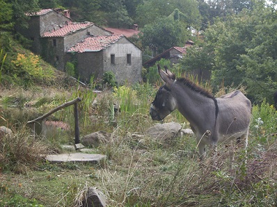 hoppla -hier sollte eigentlich ein Bild von Casa Valentina sein