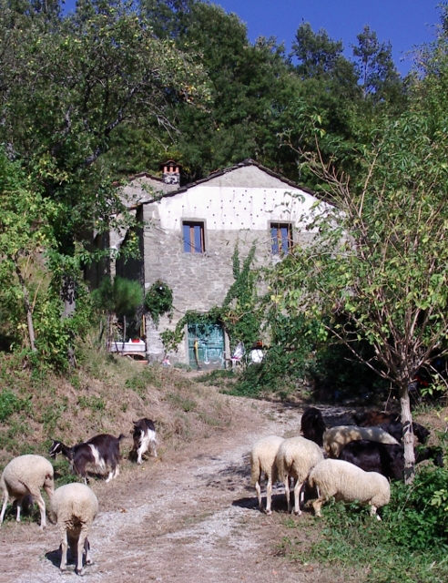 hoppla -hier sollte eigentlich ein Bild von Casa Valentina sein