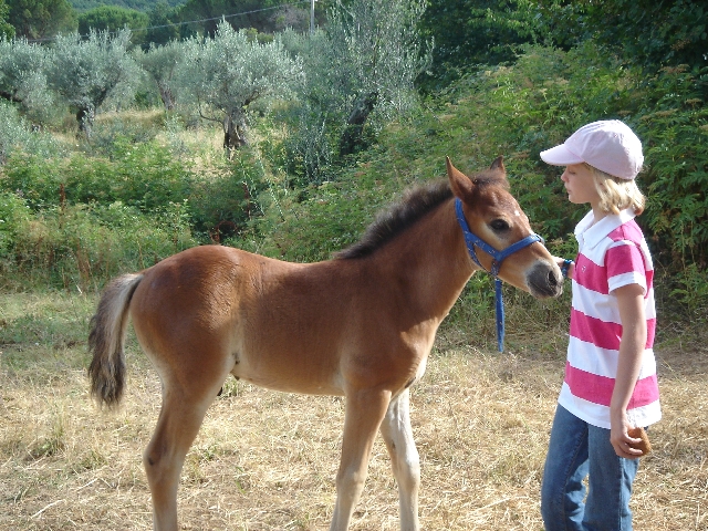 hoppla -hier sollte eigentlich ein Bild von Casa Valentina sein