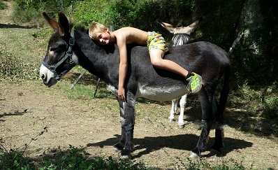 Rocko playing with Lauri